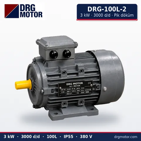 Moteur électrique triphasé DRG-100L-2 3 kW 3000 tr/min carter fonte – DRG Motor