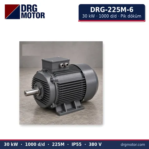 Moteur électrique triphasé DRG-225M-6 30 kW 1000 tr/min carter fonte – DRG Motor