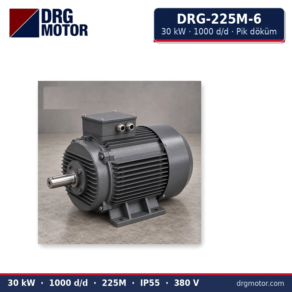 DRG-225M-6 30 kW 1000 d/d pik döküm gövdeli trifaze elektrik motoru – DRG Motor