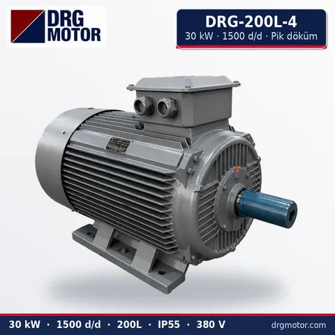 DRG-200L-4 30 kW 1500 rpm cast iron three-phase electric motor – DRG Motor
