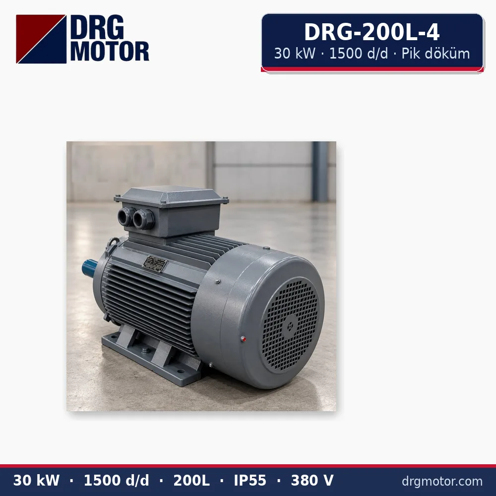 DRG-200L-4 30 kW 1500 d/d pik döküm gövdeli trifaze elektrik motoru – DRG Motor