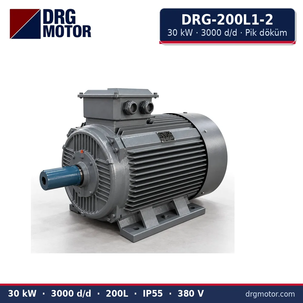 DRG-200L1-2 30 kW 3000 d/d pik döküm gövdeli trifaze elektrik motoru – DRG Motor