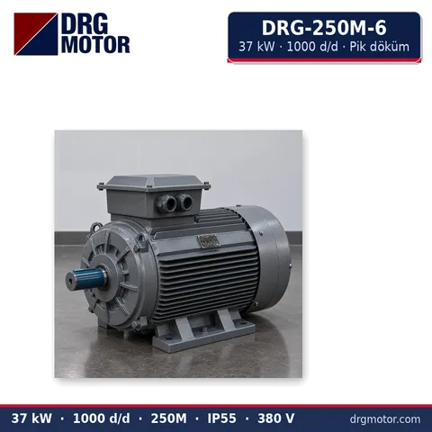 Moteur électrique triphasé DRG-250M-6 37 kW 1000 tr/min carter fonte – DRG Motor