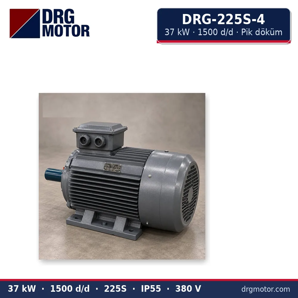 DRG-225S-4 37 kW 1500 d/d pik döküm gövdeli trifaze elektrik motoru – DRG Motor