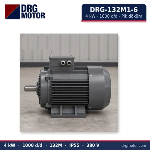 Moteur électrique triphasé DRG-132M1-6 4 kW 1000 tr/min carter fonte – DRG Motor