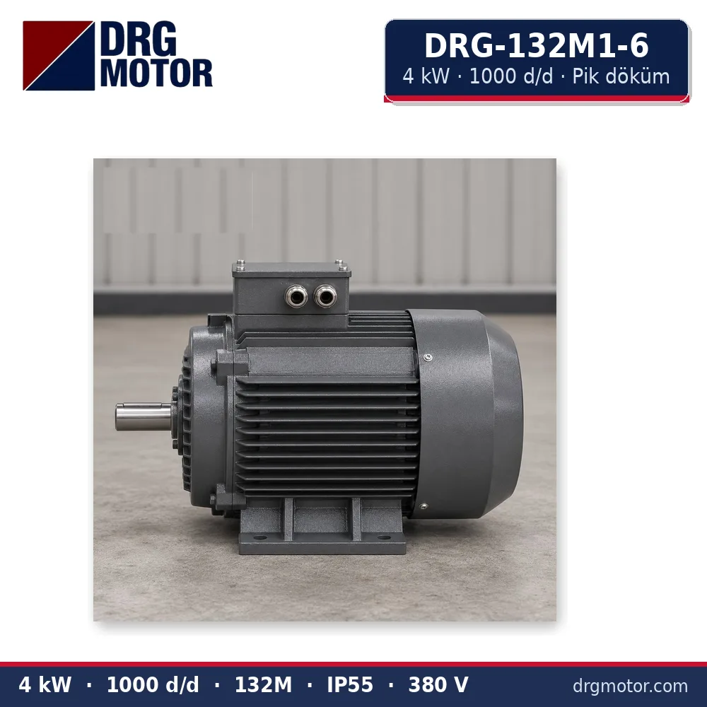 DRG-132M1-6 4 kW 1000 d/d pik döküm gövdeli trifaze elektrik motoru – DRG Motor