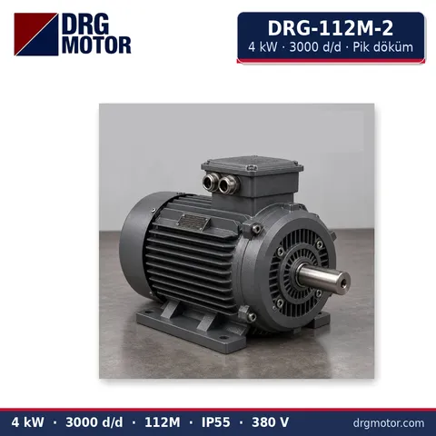Moteur électrique triphasé DRG-112M-2 4 kW 3000 tr/min carter fonte – DRG Motor
