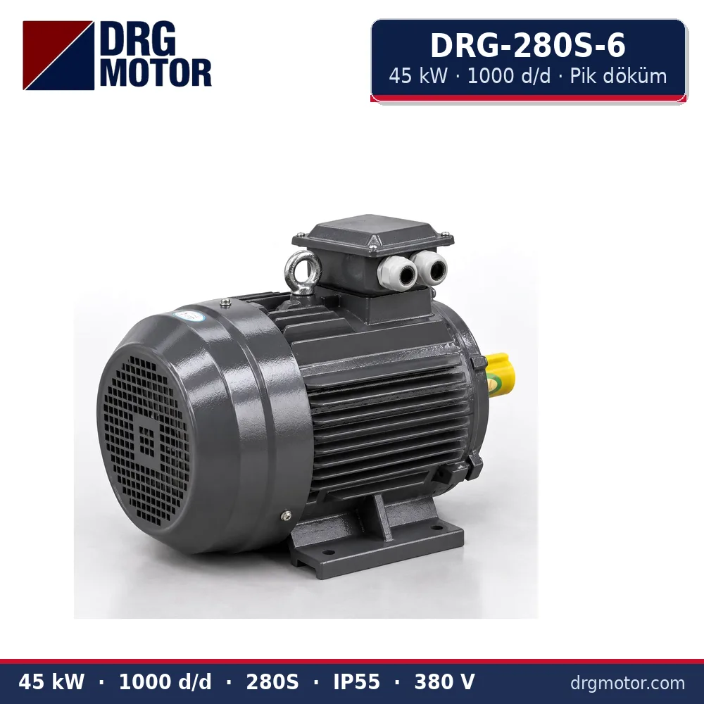 DRG-280S-6 45 kW 1000 d/d pik döküm gövdeli trifaze elektrik motoru – DRG Motor