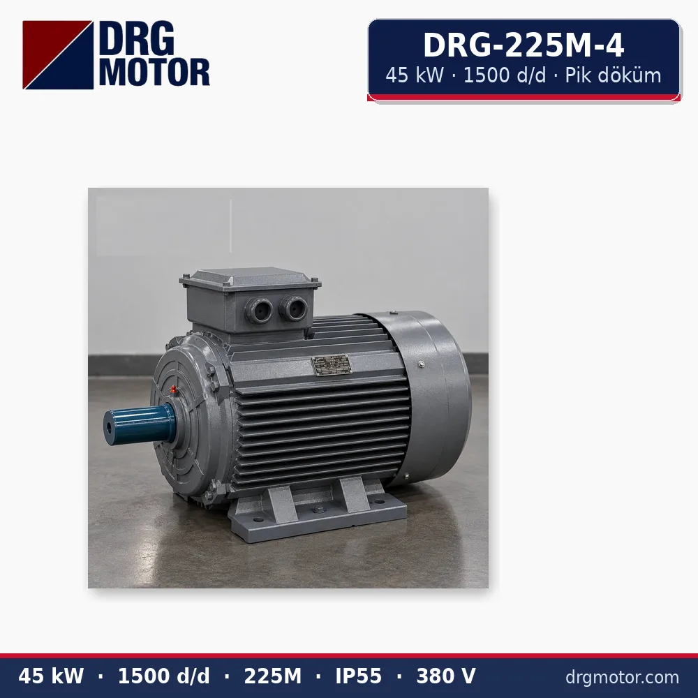DRG-225M-4 45 kW 1500 d/d pik döküm gövdeli trifaze elektrik motoru – DRG Motor