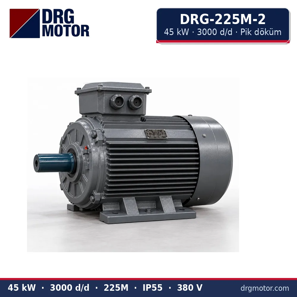 DRG-225M-2 45 kW 3000 d/d pik döküm gövdeli trifaze elektrik motoru – DRG Motor
