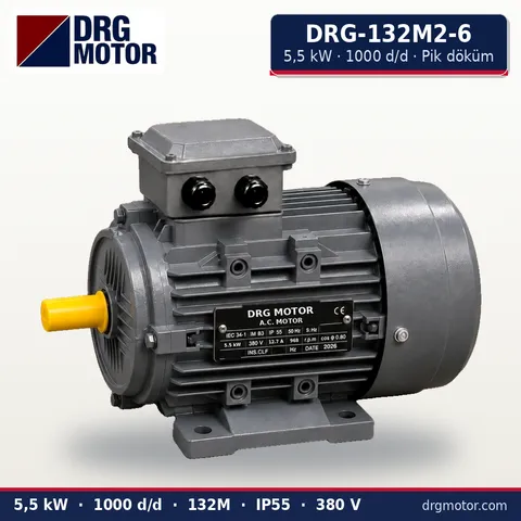 DRG-132M2-6 5.5 kW 1000 rpm cast iron three-phase electric motor – DRG Motor