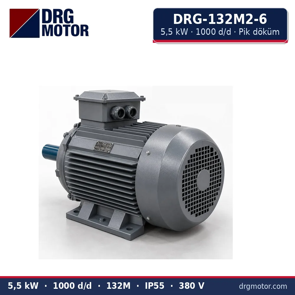 DRG-132M2-6 5,5 kW 1000 d/d pik döküm gövdeli trifaze elektrik motoru – DRG Motor