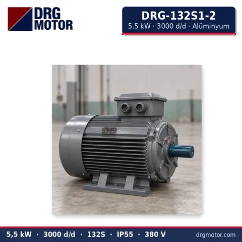 Moteur électrique triphasé DRG-132S1-2 5,5 kW 3000 tr/min carter aluminium – DRG Motor