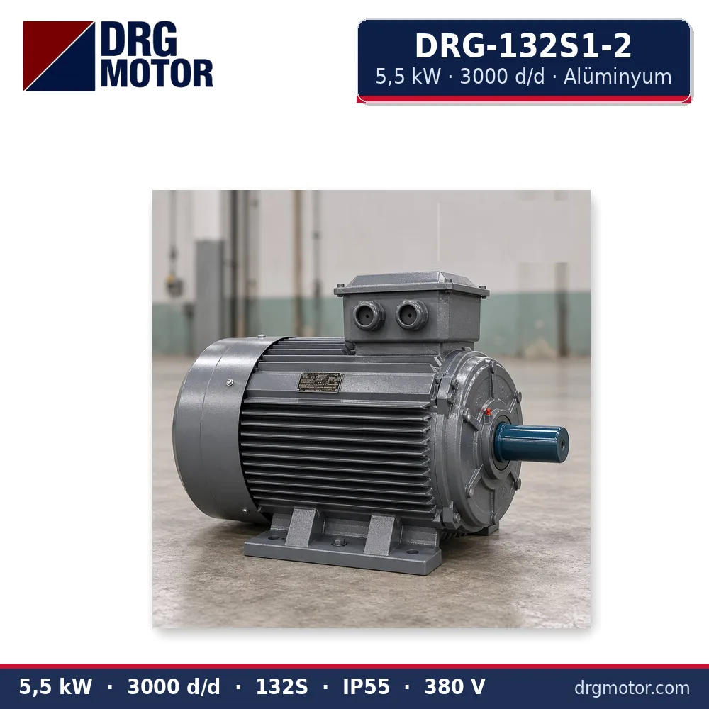DRG-132S1-2 5,5 kW 3000 d/d alüminyum gövdeli trifaze elektrik motoru – DRG Motor
