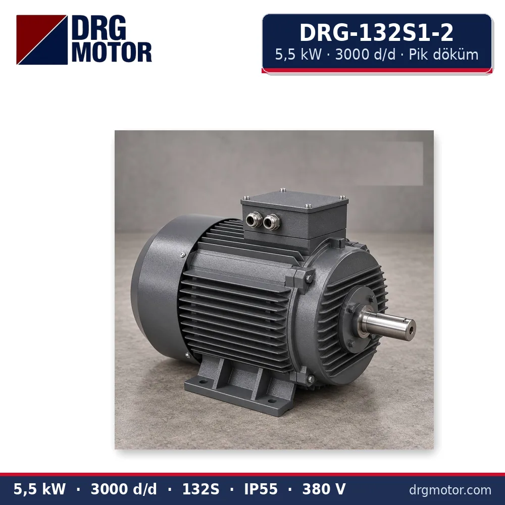 DRG-132S1-2 5,5 kW 3000 d/d pik döküm gövdeli trifaze elektrik motoru – DRG Motor