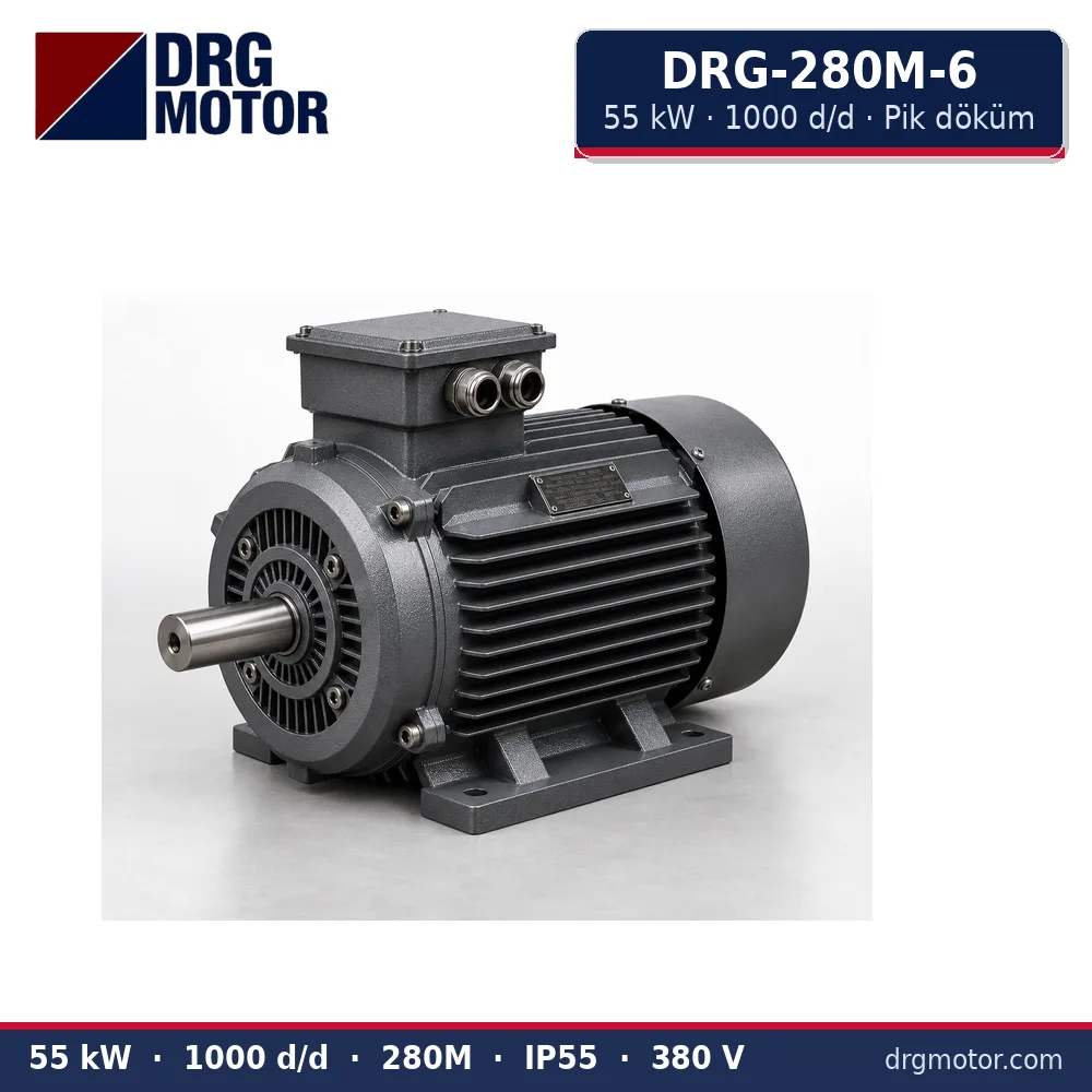 DRG-280M-6 55 kW 1000 d/d pik döküm gövdeli trifaze elektrik motoru – DRG Motor