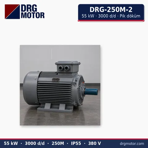 Moteur électrique triphasé DRG-250M-2 55 kW 3000 tr/min carter fonte – DRG Motor
