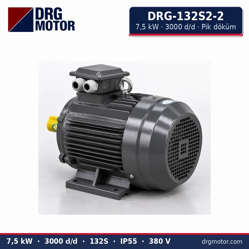DRG-132S2-2 7,5 kW 3000 d/d pik döküm gövdeli trifaze elektrik motoru – DRG Motor