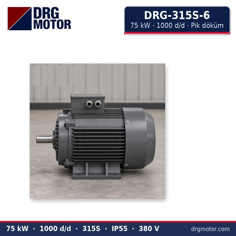 DRG-315S-6 75 kW 1000 d/d pik döküm gövdeli trifaze elektrik motoru – DRG Motor