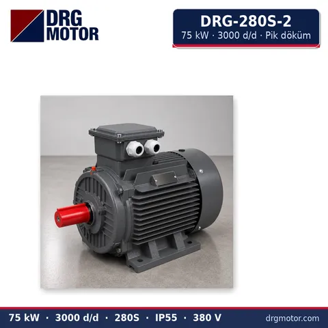 Moteur électrique triphasé DRG-280S-2 75 kW 3000 tr/min carter fonte – DRG Motor