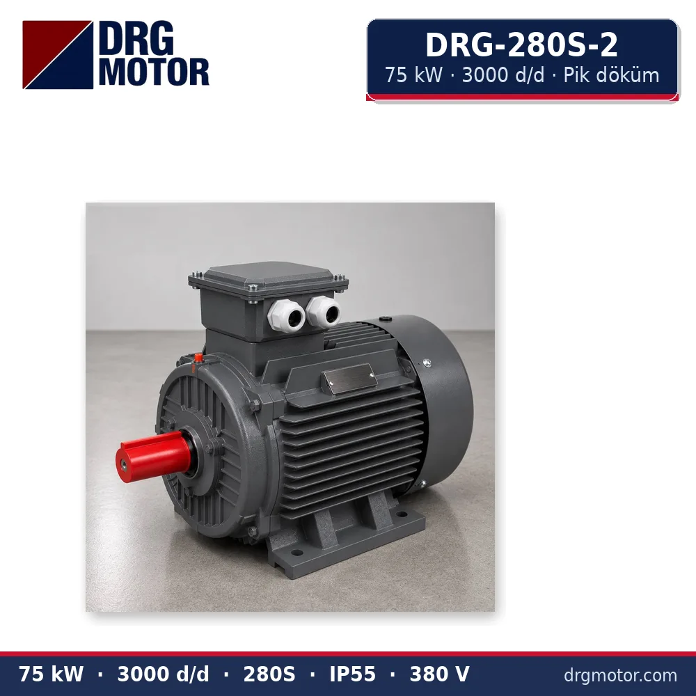 DRG-280S-2 75 kW 3000 d/d pik döküm gövdeli trifaze elektrik motoru – DRG Motor