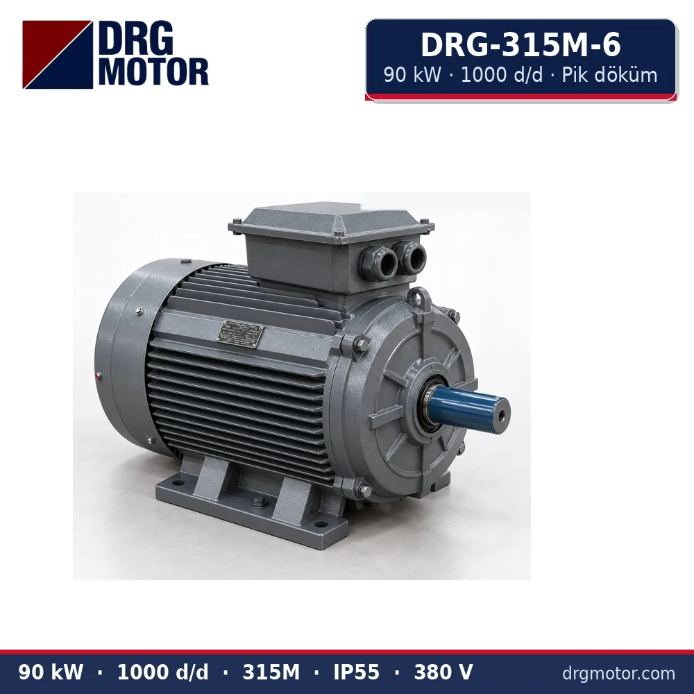 DRG-315M-6 90 kW 1000 d/d pik döküm gövdeli trifaze elektrik motoru – DRG Motor