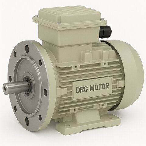 B14 Flanşlı Elektrik Motorları