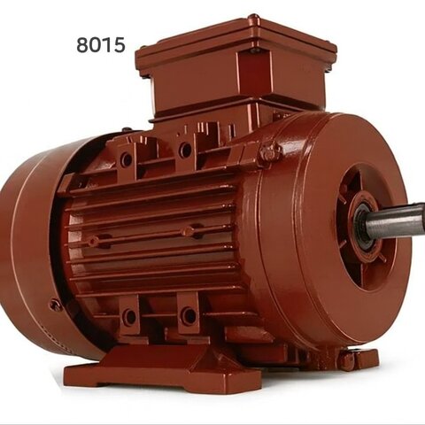 132 kW 1500 devir standart elektrik motoru