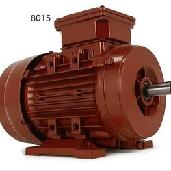 132 kW 1500 devir standart elektrik motoru