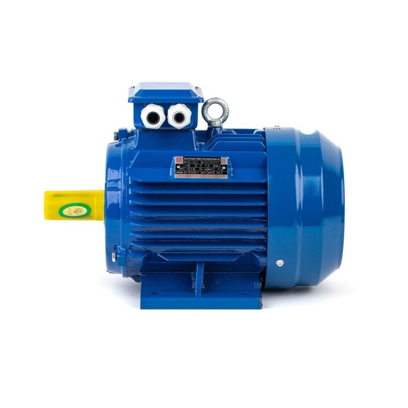 110 Kw 1500 Devir Elektrik Motoru
