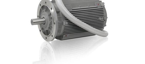 0.75 kW 1000 Devir Elektrik Motoru