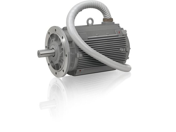 0.75 kW 1000 Devir Elektrik Motoru