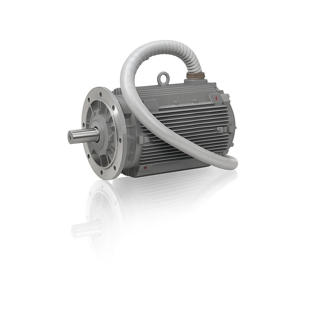 0.75 kW 1000 Devir Elektrik Motoru