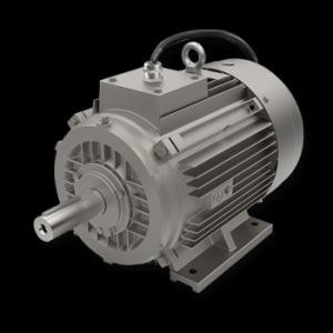 1.1 kw 1000 Devir Elektrik Motoru