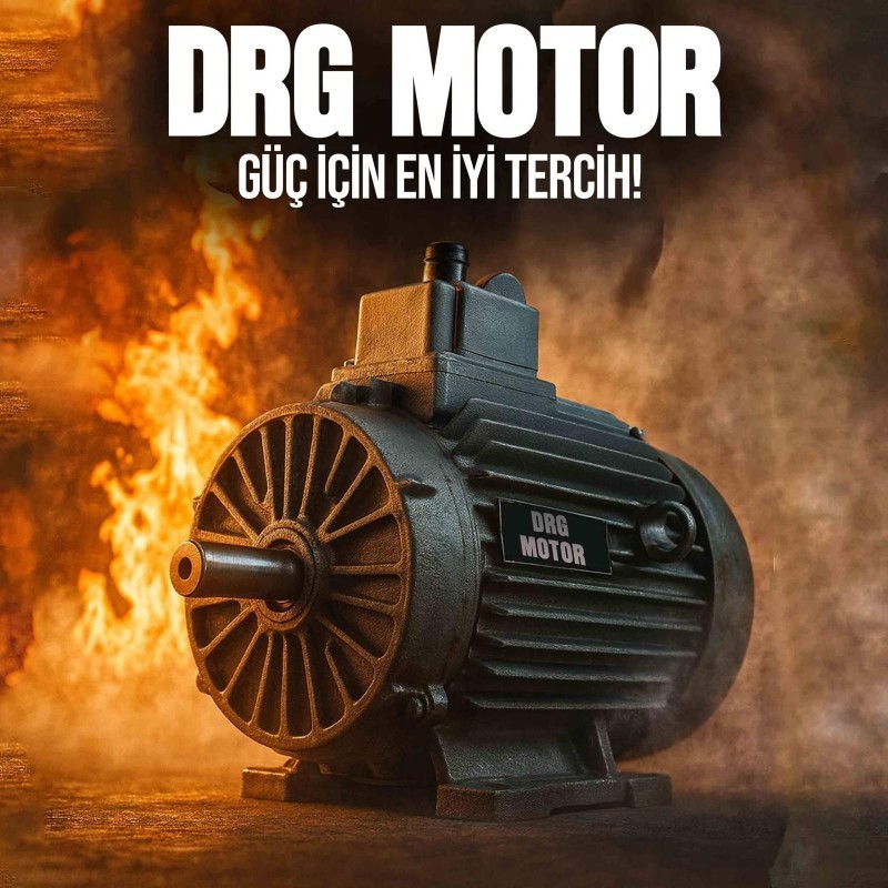 2.2 kW 1000 Devir Elektrik Motoru