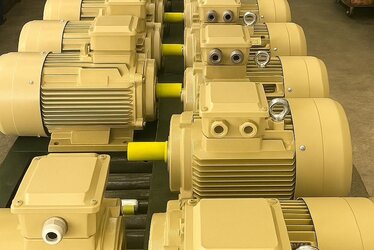 3 kW 1000 Rpm Electric Motor