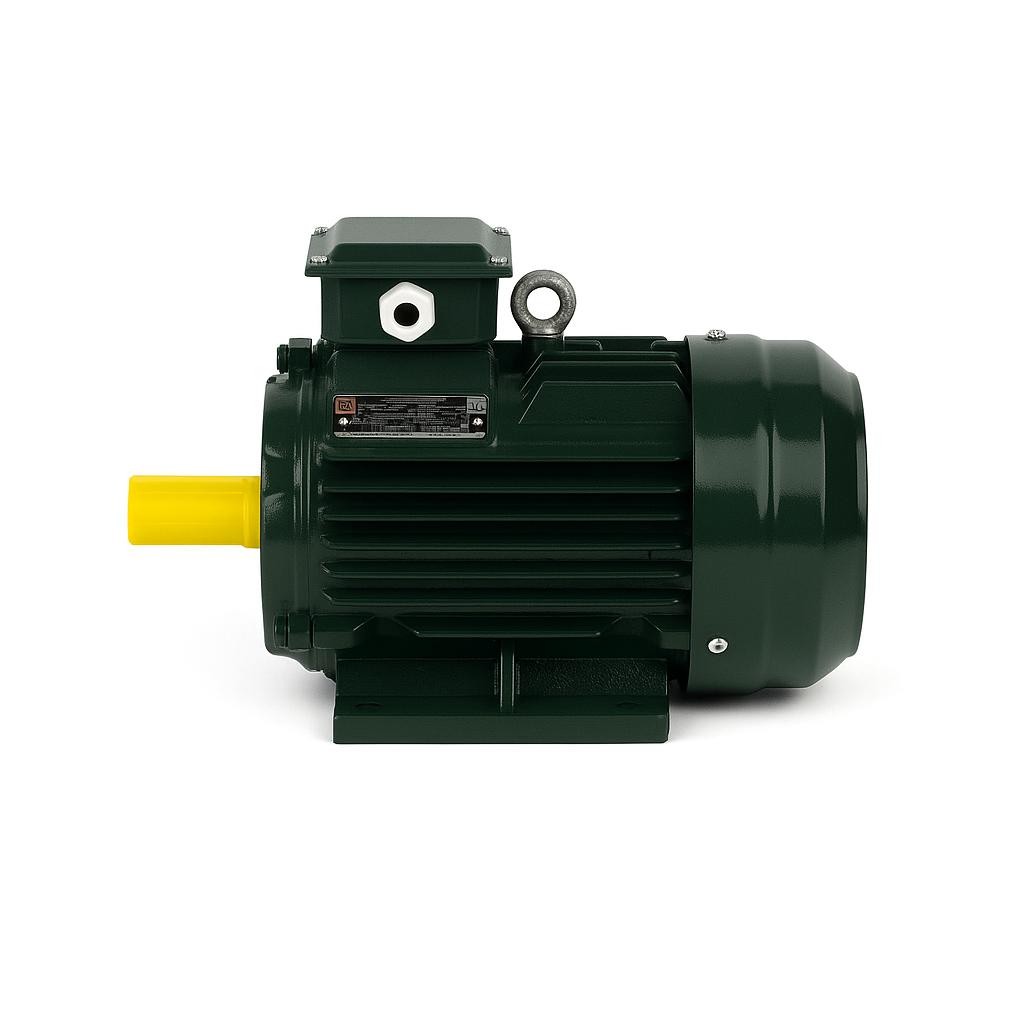 7.5 kW 1000 Devir Elektrik Motoru