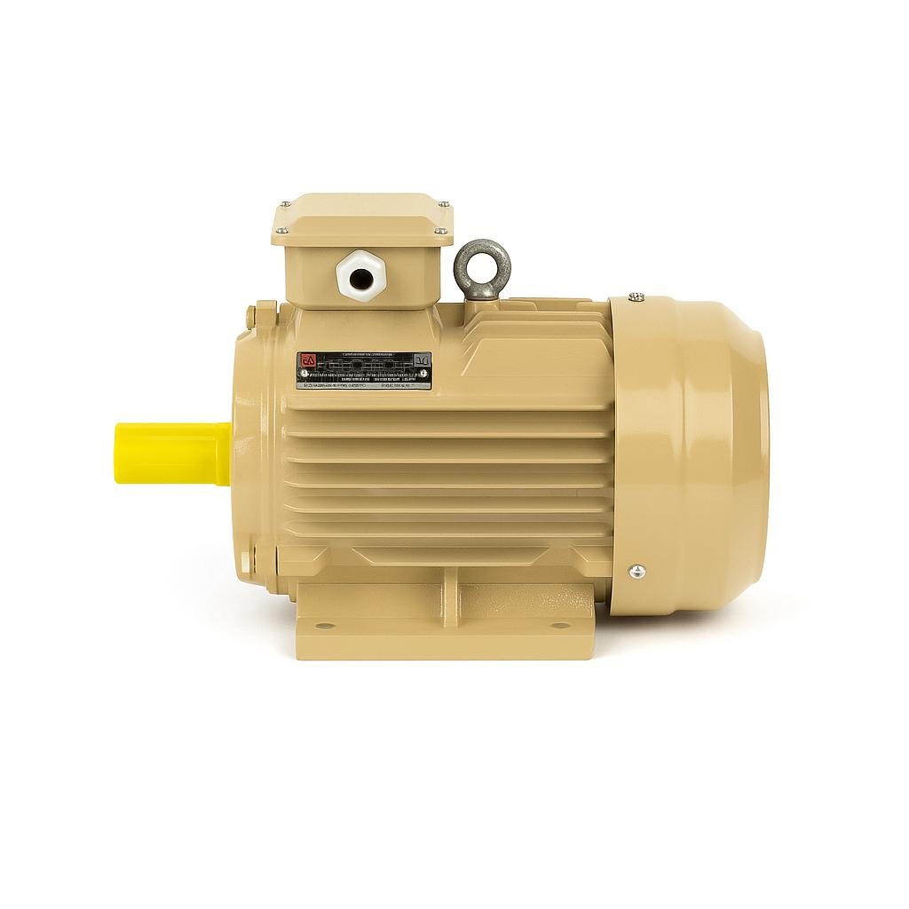 11 kW 1000 Devir Elektrik Motoru