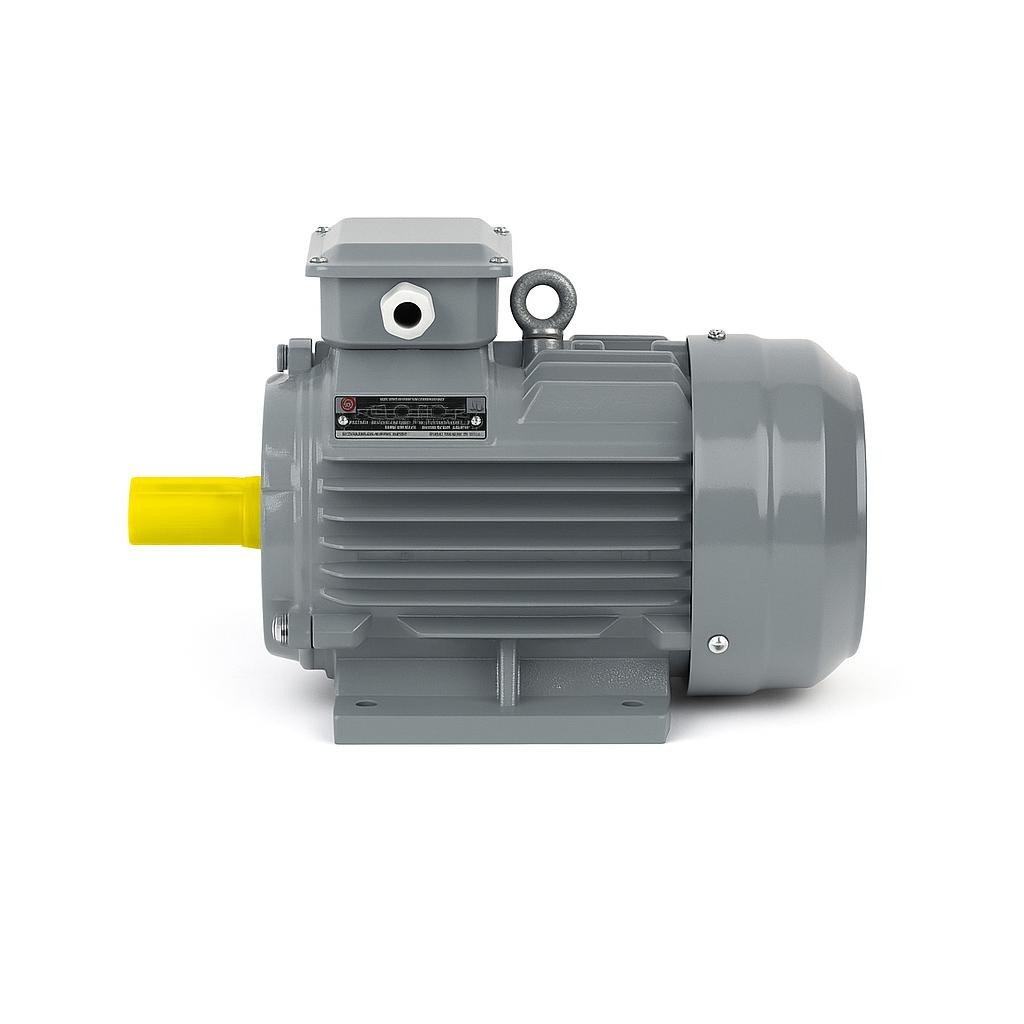 15 kW 1000 Devir Elektrik Motoru