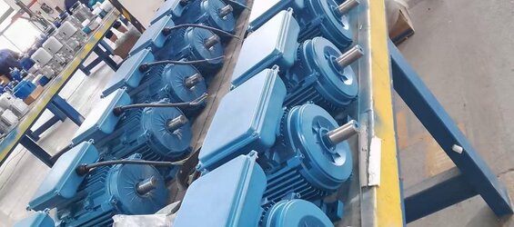 22 kW 1000 Devir Elektrik Motoru