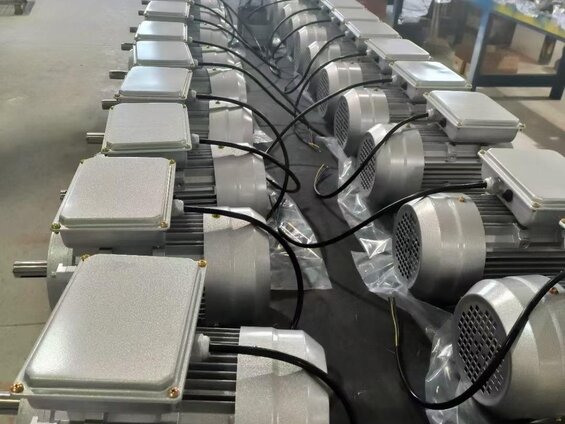 30 kw 1000 Devir Elektrik Motoru