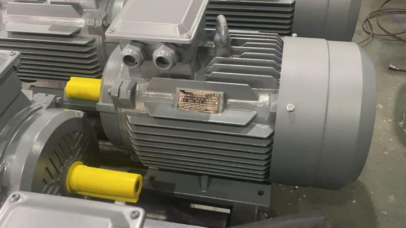 37 kw 1000 Devir Elektrik Motoru
