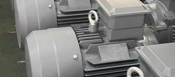 45 kw 1000 Devir Elektrik Motoru