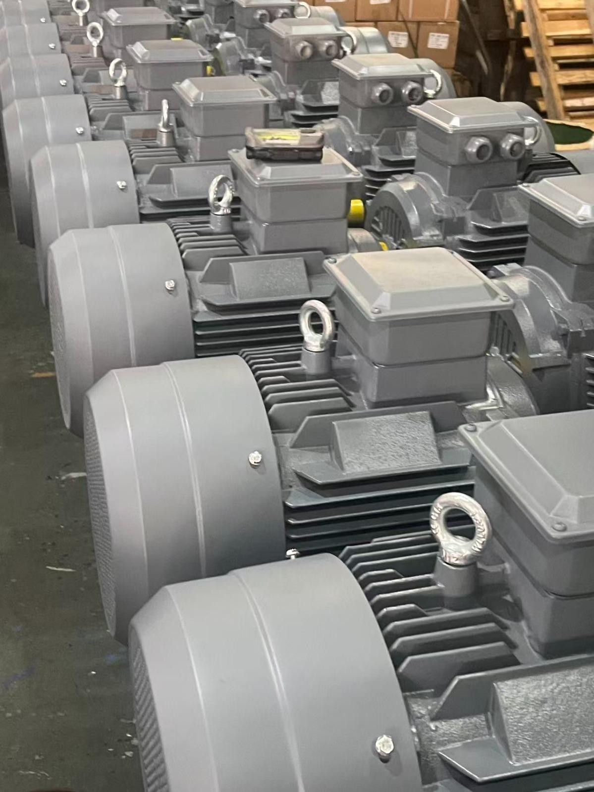 45 kw 1000 Devir Elektrik Motoru
