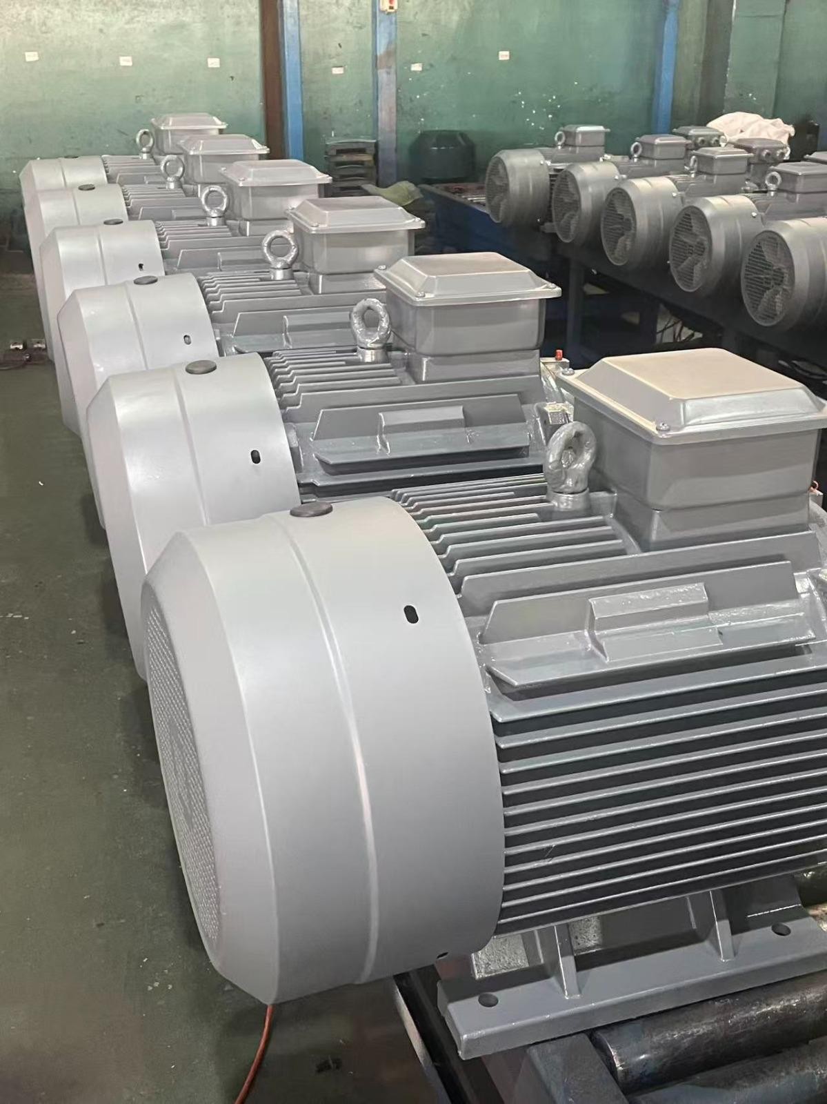 55 kw 1000 Devir Elektrik Motoru