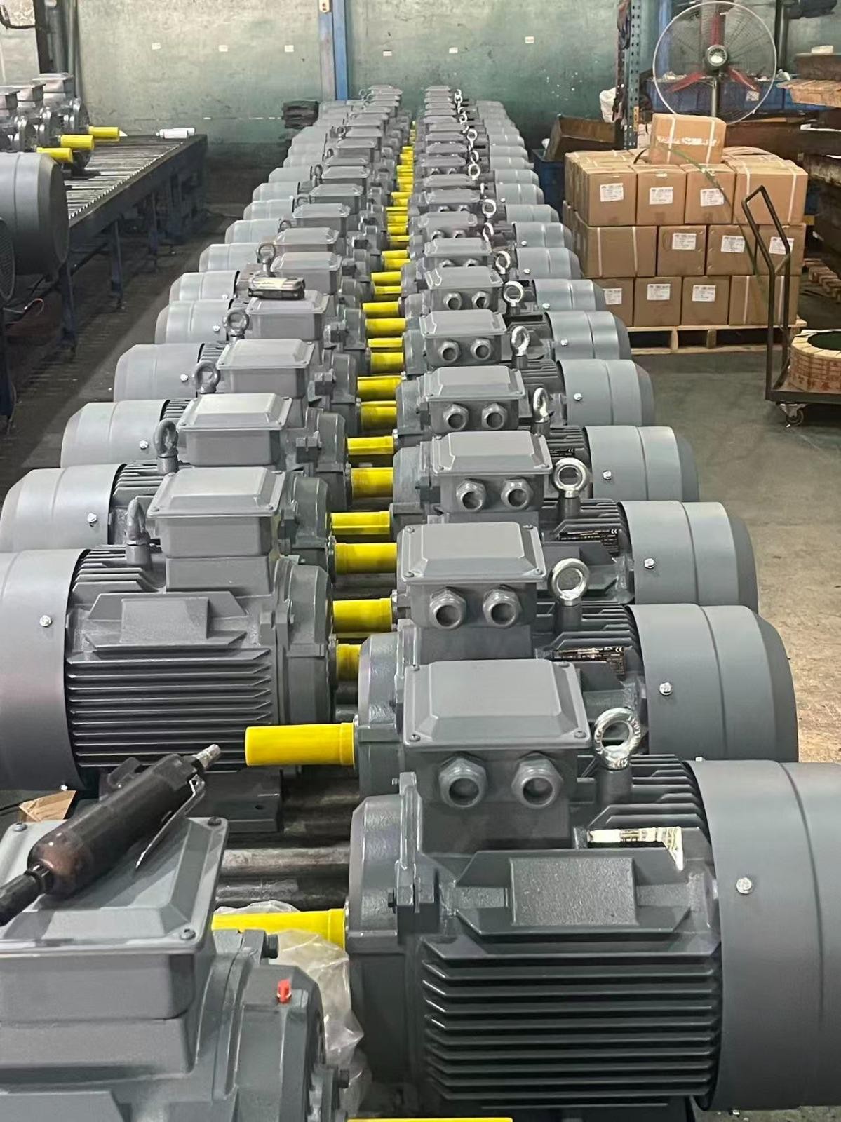 90 kW 1000 Devir Elektrik Motoru