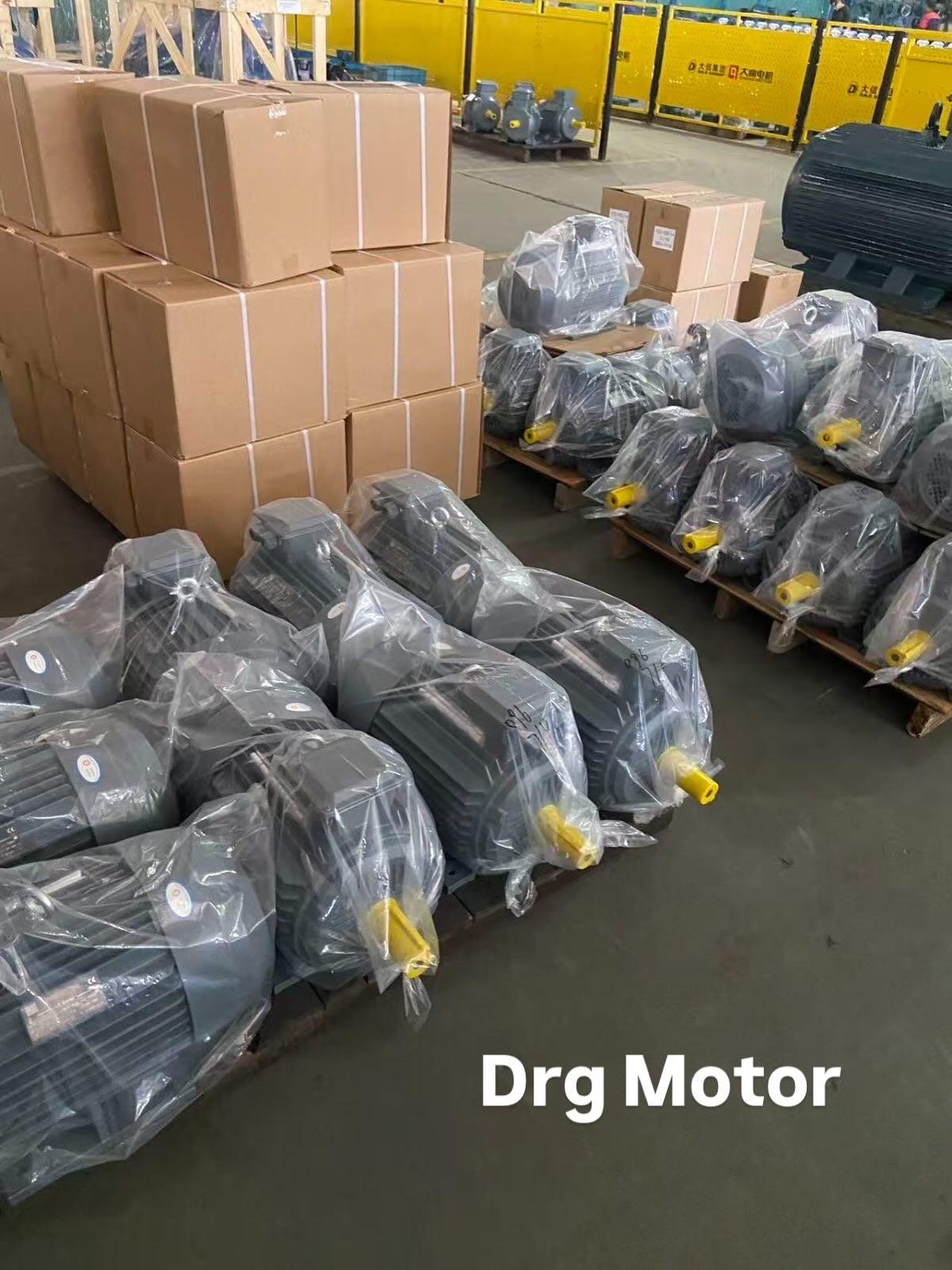 160 kW 1000 Devir Elektrik Motoru