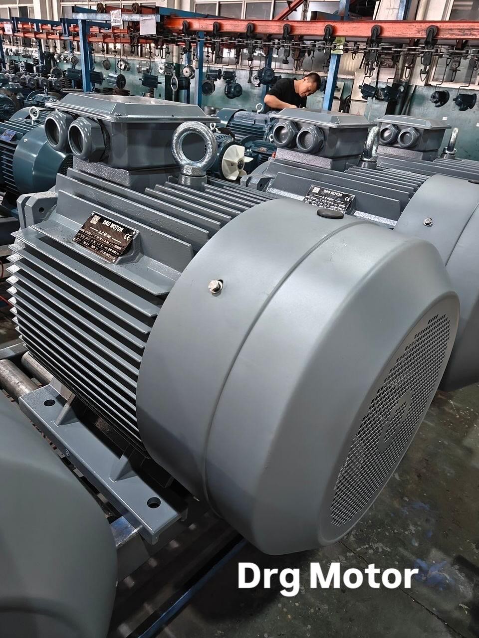 315 kW 1000 Devir Elektrik Motoru