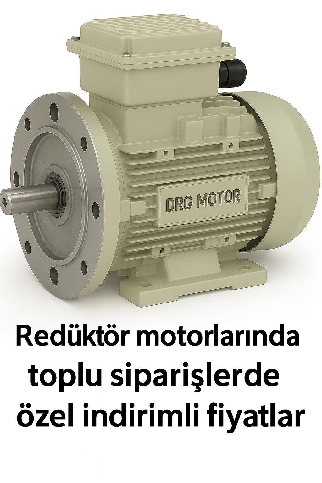 4 kW 1500 Devir Elektrik Motoru