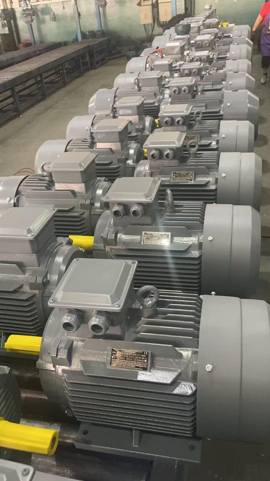 Yüksek Verimli IE4-IE5 Elektrik Motorları - DRG MOTOR